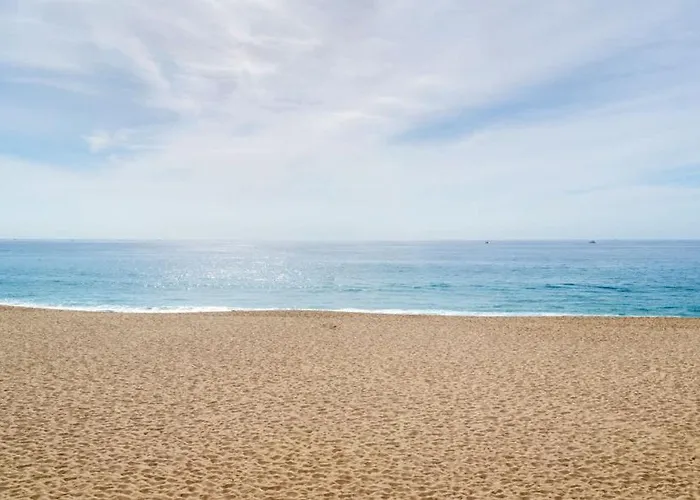 Unit 224-honeymoon Dream-beachfront At Terrasol Cabo San Lucas